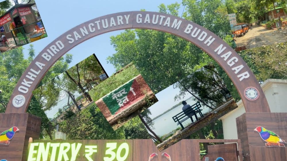 Okhla Bird Sanctuary
