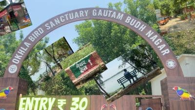 Okhla Bird Sanctuary
