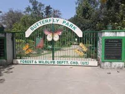 Butterfly Park Chandigarh