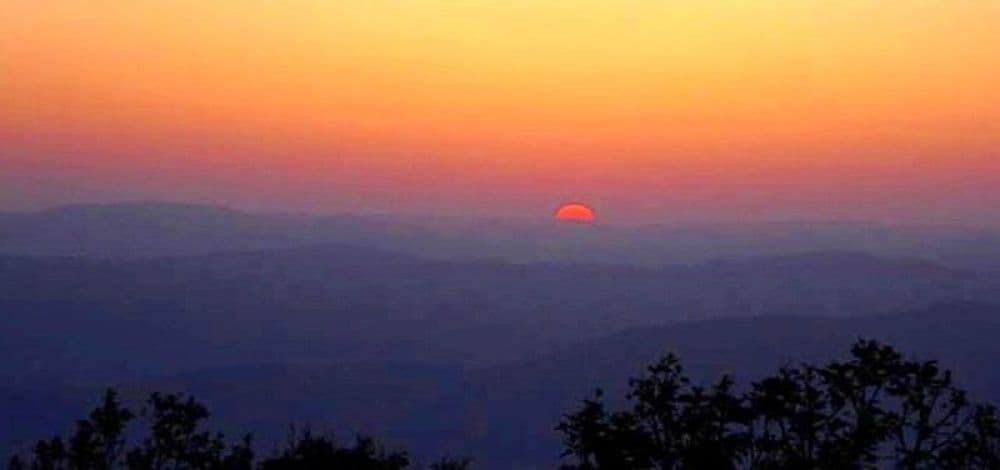 Magnolia Sunset Point