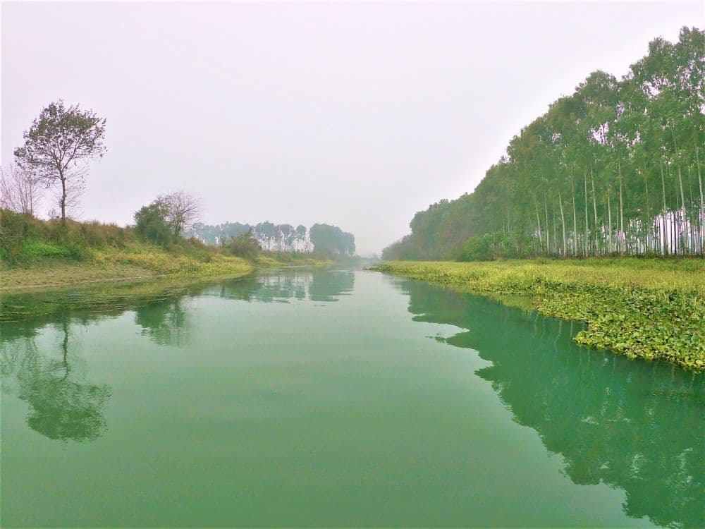 Kanjli Wetlands