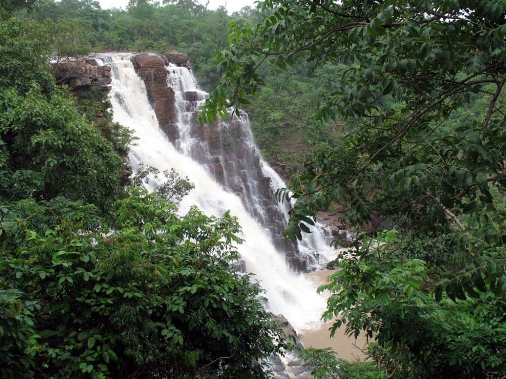 Bastar