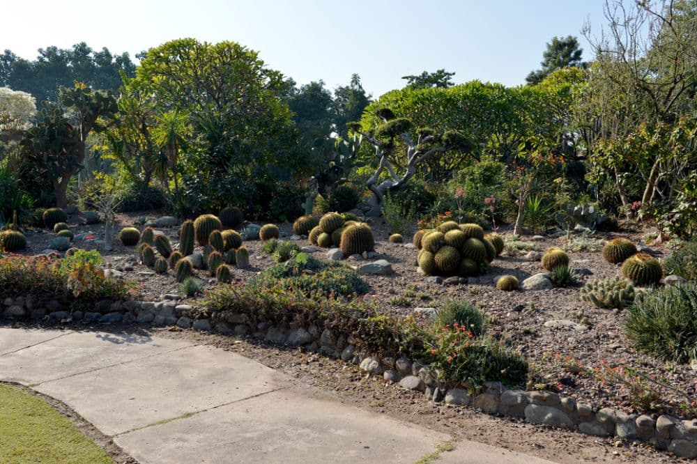 Cactus Garden Chandigarh