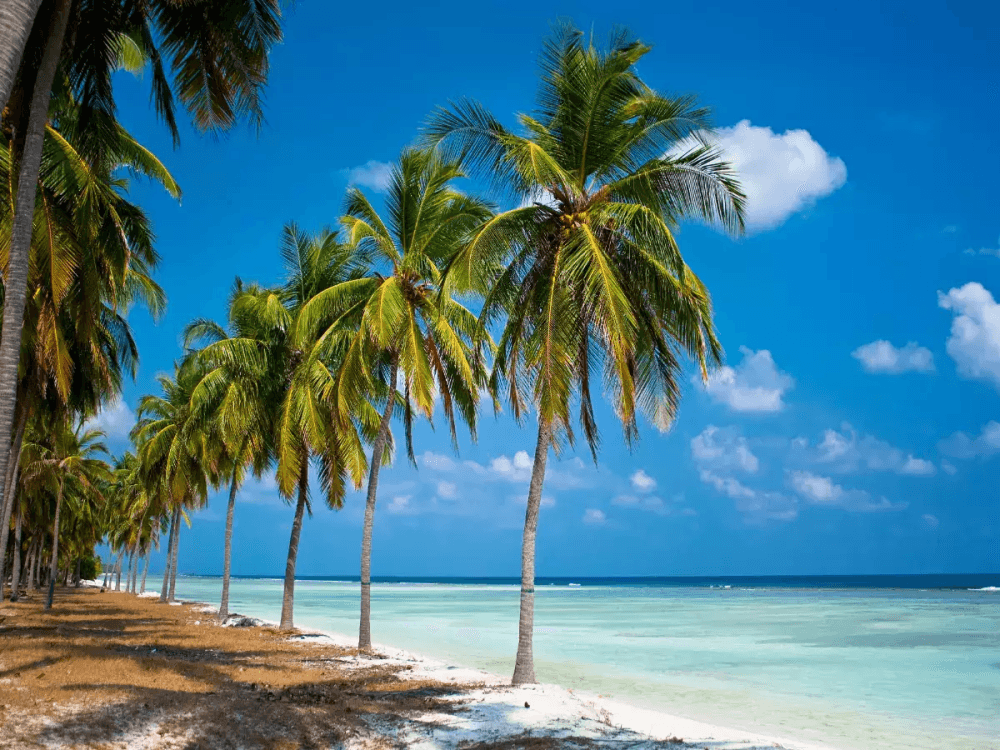 Agatti Island