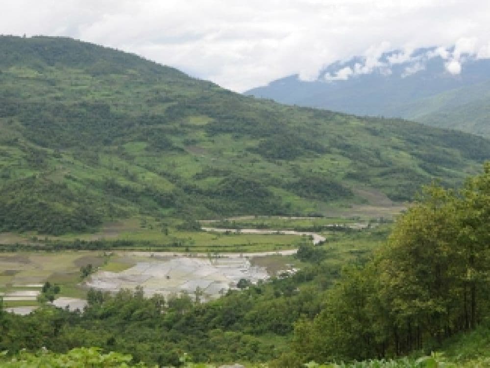 Ruzaphema