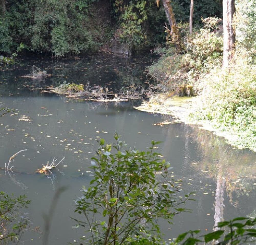 Dzudu Lake