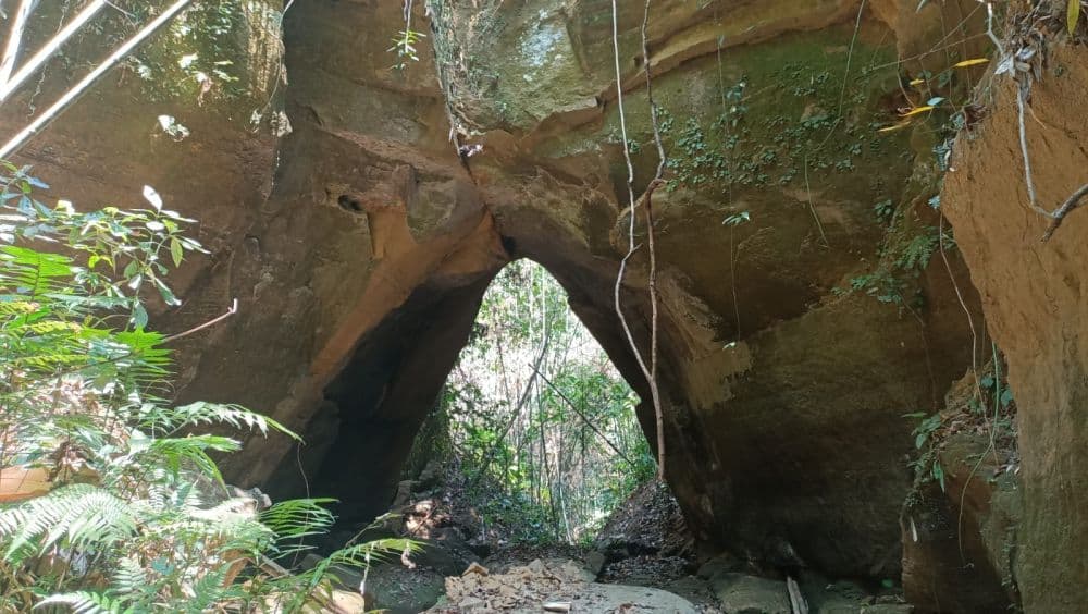 Lungkulh