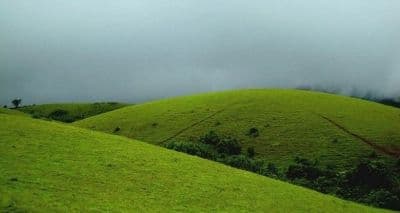 Vagamon Meadows