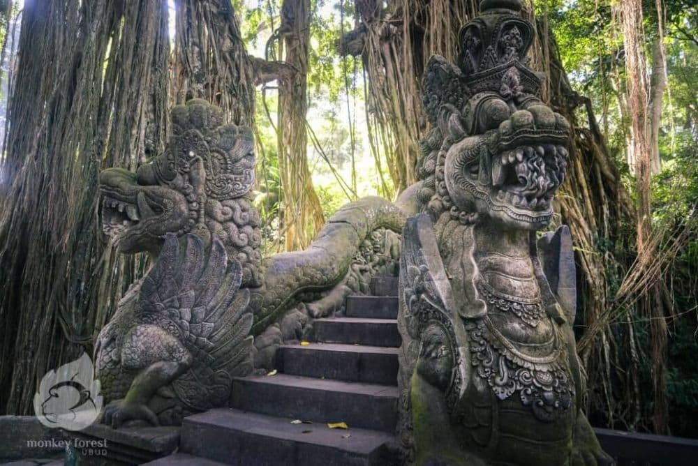 Sacred Monkey Forest Sanctuary
