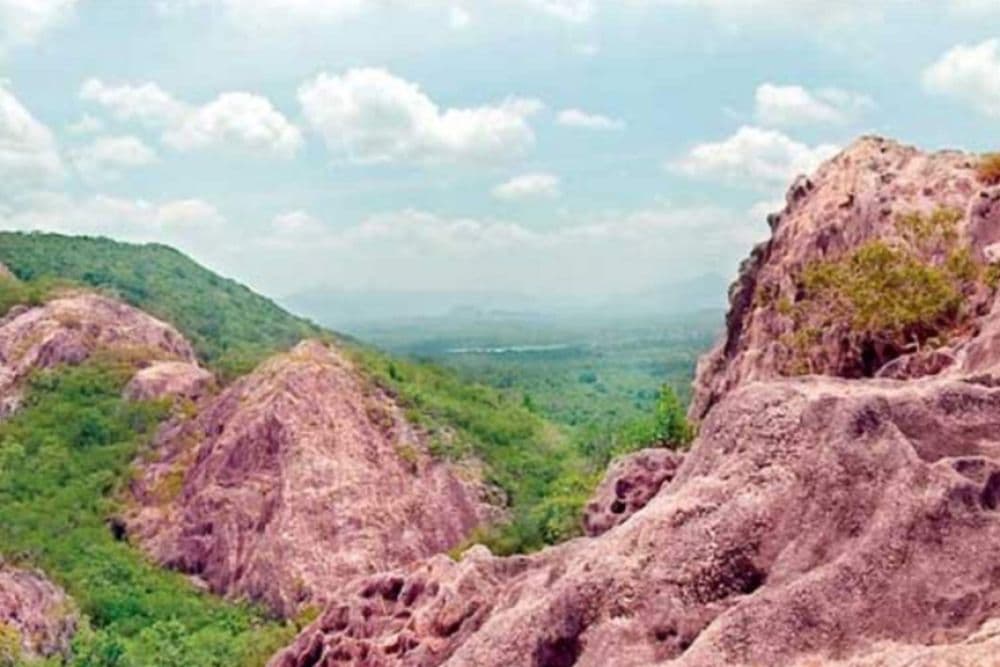 Jathika Namal Uyana