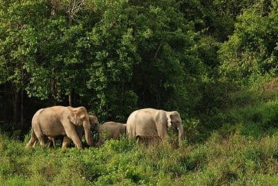 Wildlife Sanctuaries