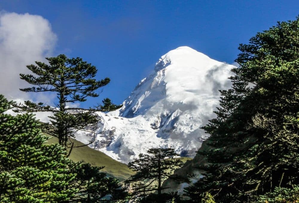 Jigme Dorji National Park