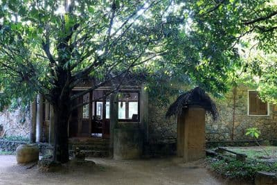 Popham's Arboretum