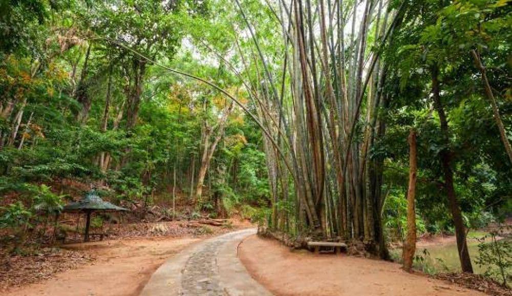 Udawatta Kele Sanctuary