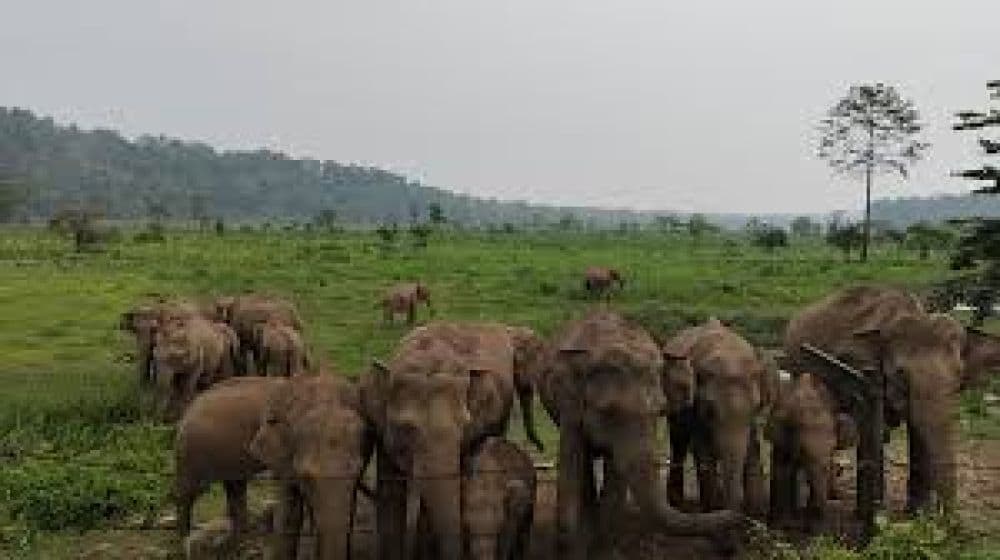 Phibsoo Wildlife Sanctuary