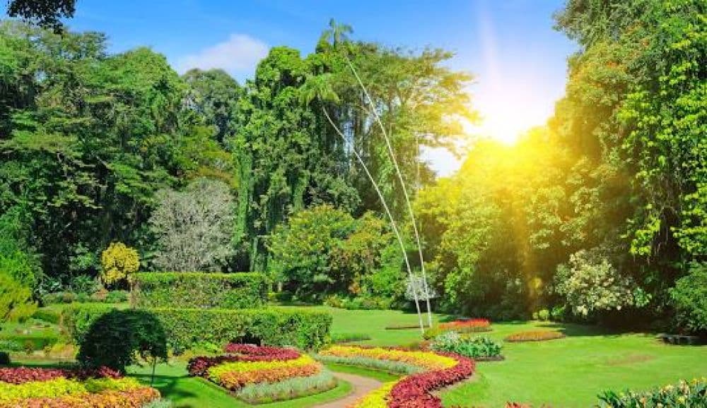 Peradeniya Botanical Gardens