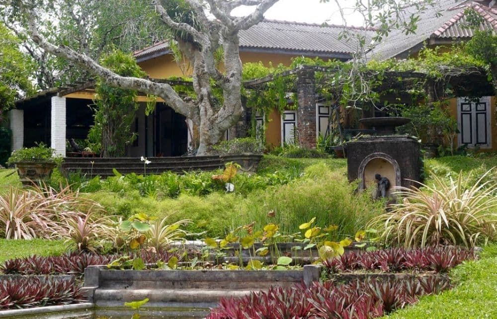 Brief Garden, Bevis Bawa