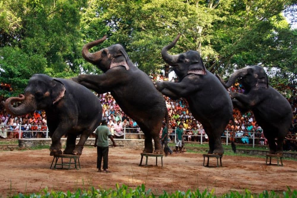 Dehiwala Zoological Garden