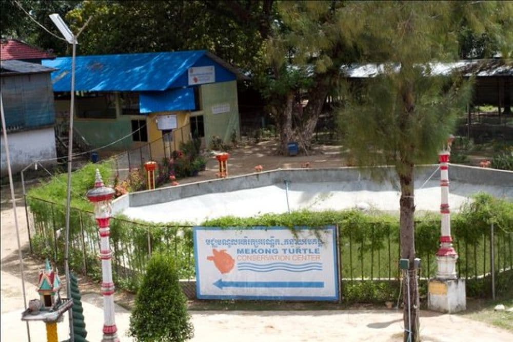 Mekong Turtle Conservation Center