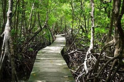 Wildlife Sanctuaries