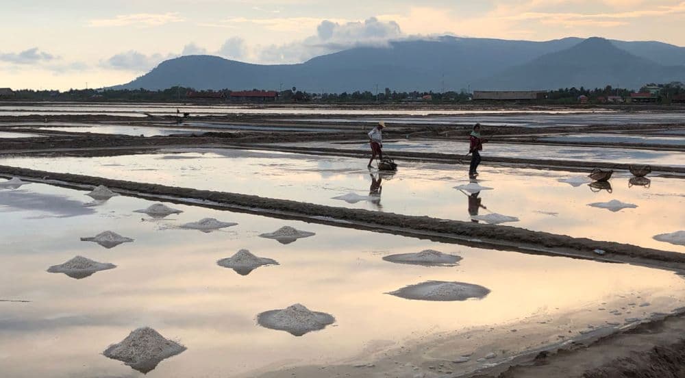 Salt Fields