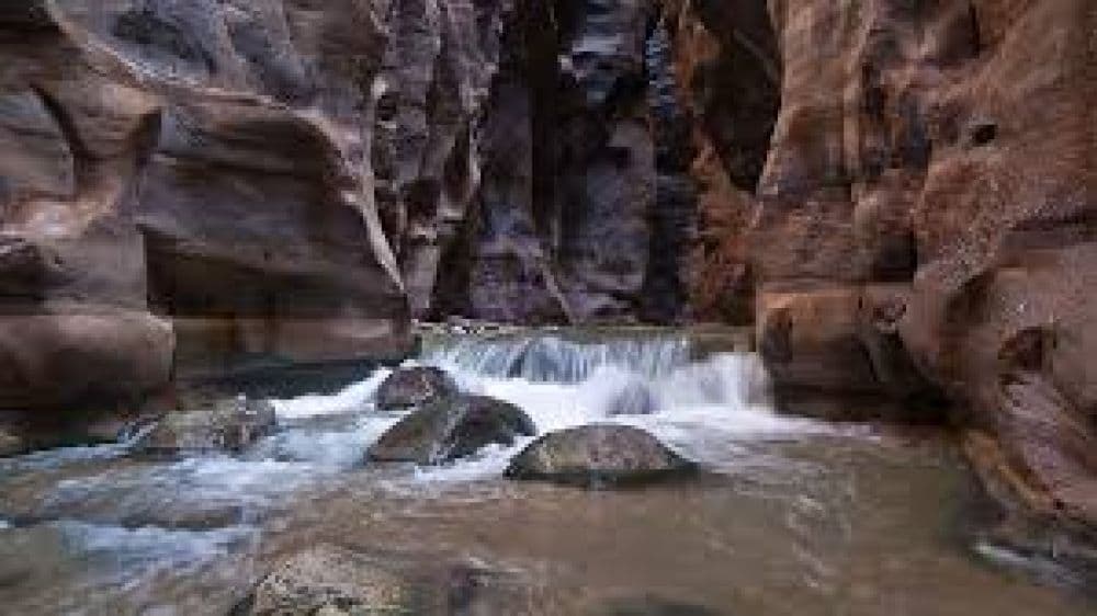 Mujib Nature Reserve