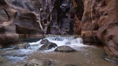 Mujib Nature Reserve
