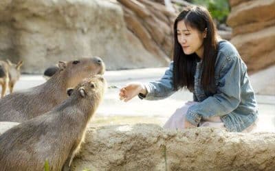 Zoos