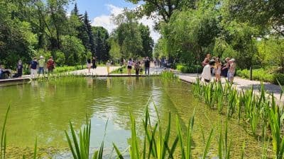 Gardens
