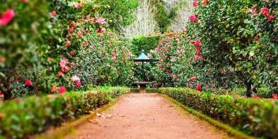 Beautiful Surrounding Gardens