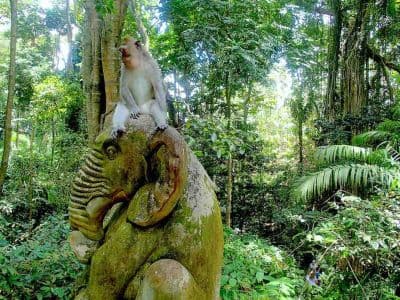 Wildlife Sanctuaries