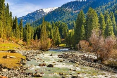 National Parks