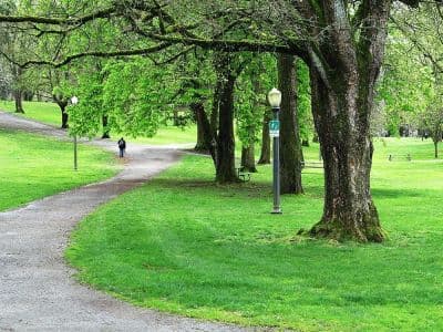 Wright Park