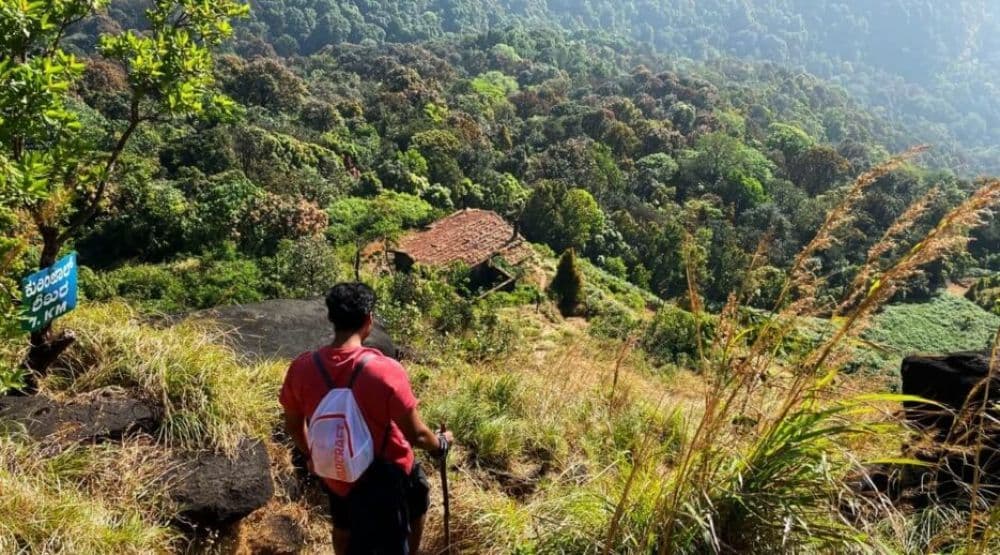 Jungle Eco Trekking Tours