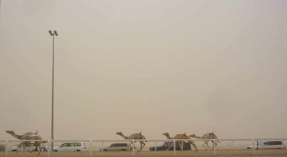 Al Shahaniya