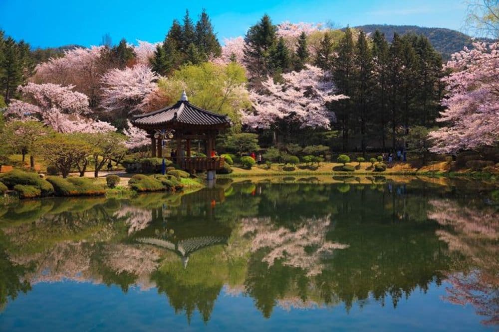 Bomun Lake