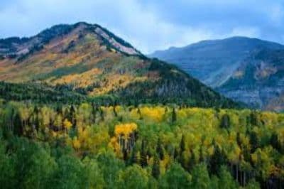 Mountains
