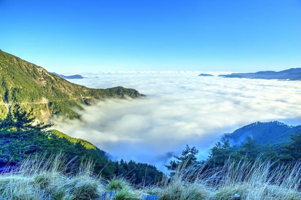 Yushan National Park