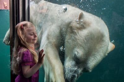 Zoos