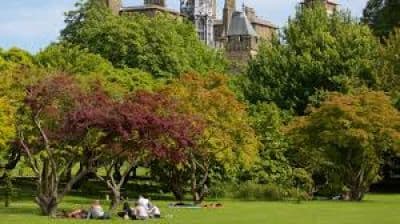 Bute Park