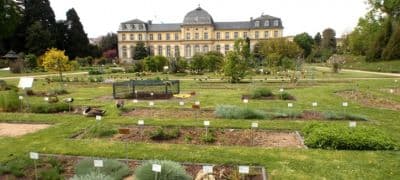 Gardens