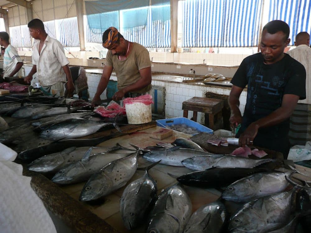 Fish Market
