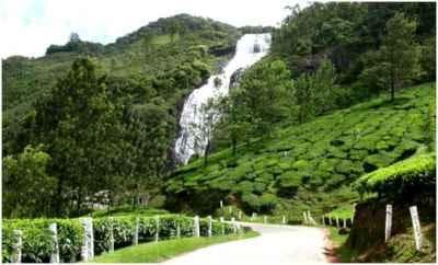 Munnar tour packages