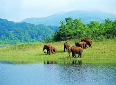 Munnar tour package