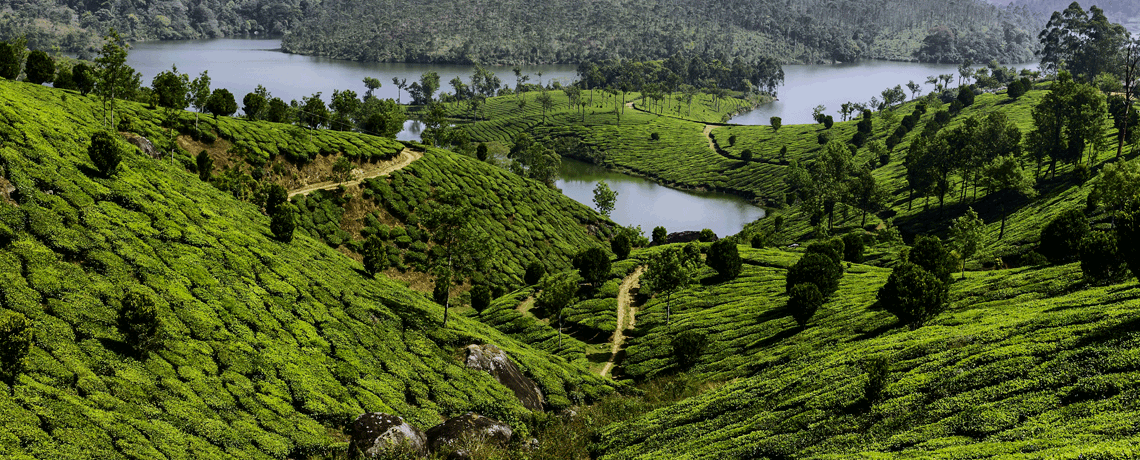 Munnar tour package