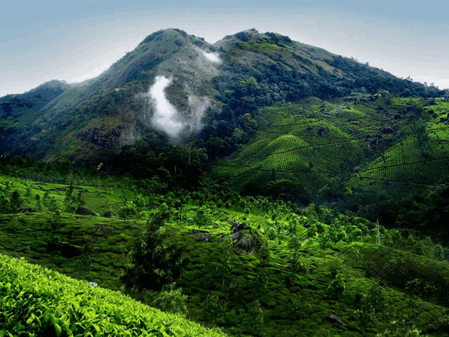 Munnar tour package