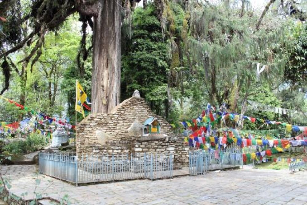 Norbugang Park