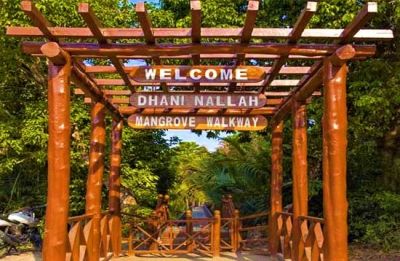 Dhani Nallah Mangrove Nature Walkway