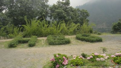 Nainital Botanical Garden