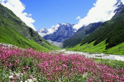 Valley of Flower National Park